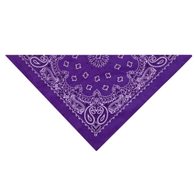 TP Paisley Bandana DkPur