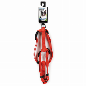 DGR 5/8in Adjustable Harness Neon Org
