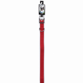 DGR 1in Dbl Nylon Collar 20in Red
