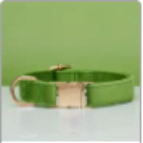 dog Harnesses and dog leash set; Pet Traction Rope Vest Pet Chest Strap Small and Medium Dog Strap Reflective Dog Walking Rope Wholesale (Option: Green-S)