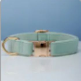 dog Harnesses and dog leash set; Pet Traction Rope Vest Pet Chest Strap Small and Medium Dog Strap Reflective Dog Walking Rope Wholesale (Option: Cyan-L)