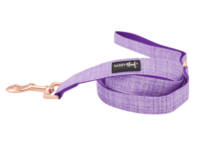 Leash (Color: Purple, size: one size)
