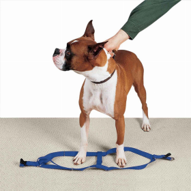 CC Nylon 2 Step Harness 9-15In Blu (Color: Royal Blue, size: 9-15in)