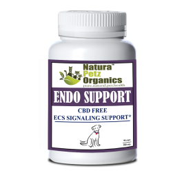Endo Support Capsules For Dogs And Cats* Endocannabinoid System Support For Dogs & Cats* (size: 250 Capsules DOG / 500 mg.)