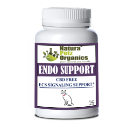 Endo Support Capsules For Dogs And Cats* Endocannabinoid System Support For Dogs & Cats* (size: 90 Capsules CAT / 250 mg. Capsules)