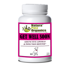 Get Well Soon - Adjunctive Lipoma + Infection Defense* (size: DOG/ 90 caps / 650 mg /No Flavoring)