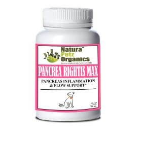 Pancrea Rightis Max Support* Capsules Pancreas Inflammation & Flow Support Dogs Cats* (size: DOG - 150 caps / 500 mg)