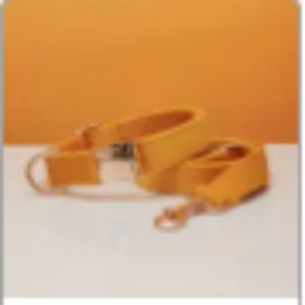 dog Harnesses and dog leash set; Pet Traction Rope Vest Pet Chest Strap Small and Medium Dog Strap Reflective Dog Walking Rope Wholesale (Option: Yellow set-L)