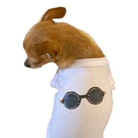 My Summer CC Sunnies (size: medium)