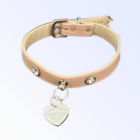 Pretty in Pink and Sniffany Collar (size: 12")
