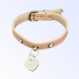 Pretty in Pink and Sniffany Collar (size: 16")