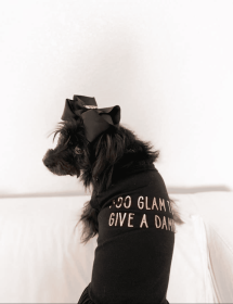 Too Glam to Give a Damn (size: X Small)