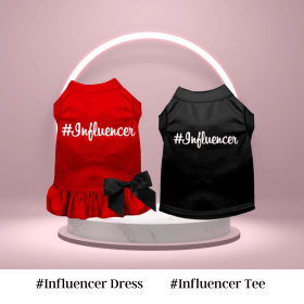 Influencer Dress (size: S)