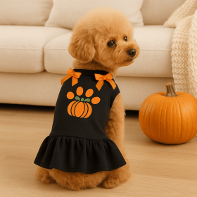 Harvest Paw Pumpkin Party Dress (size: M)