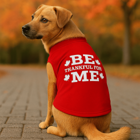 Be Thankful for Me Classic Tee (size: S)