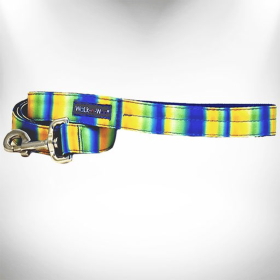 Tie Dye Dog Leads (Color: Blue/Green, size: REGULAR Lead 1" width- 5' length)