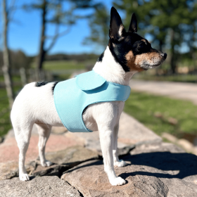 DCNY Harness Vest (Color: Aqua)