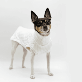 DCNY Mock Neck Sleeveless Sweater Tank (Color: Ivory)