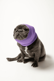 PET HOODZ DOG HOODIES FOR ANXIETY (Color: Lavender, size: X-Large)