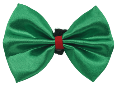 PR3000X|Pets Ribbons (Color: Green, size: 2")
