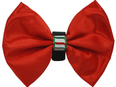 PR3000XCS|Pets Ribbons (Color: Red, size: 2")