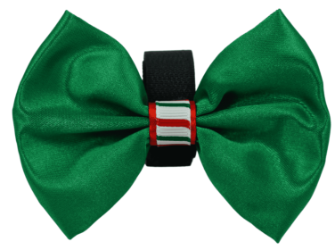 PR3000XCS|Pets Ribbons (Color: Green, size: 6")