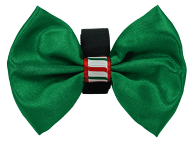PR3000XCS|Pets Ribbons (Color: Green, size: 2")