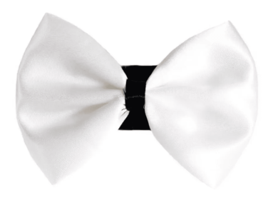 PR3001|Pets Ribbons (Color: 9, size: 2")