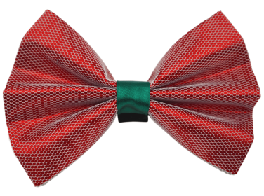 PR3004X|Pets Ribbons (Color: Red, size: 6")