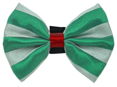 PR3006X|Pets Ribbons (Color: Green/White, size: 5")