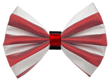 PR3006X|Pets Ribbons (Color: White/Red, size: 3")