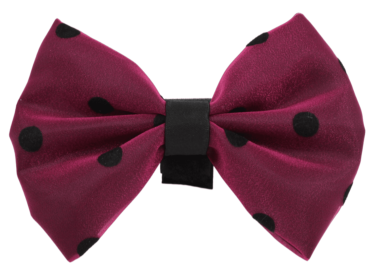 PR1001|Pets Ribbons (Color: 8, size: 5")