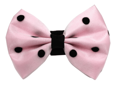 PR1001|Pets Ribbons (Color: 2, size: 6")