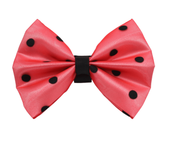 PR1001|Pets Ribbons (Color: 10, size: 6")