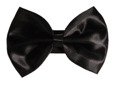 PR3000|Pets Ribbons (Color: 3, size: 5")