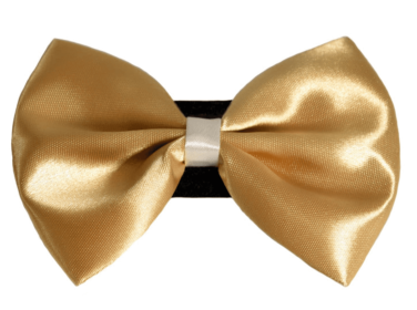 PR3001|Pets Ribbons (Color: 3, size: 5")