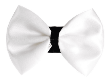 PR3001|Pets Ribbons (Color: 9, size: 6")