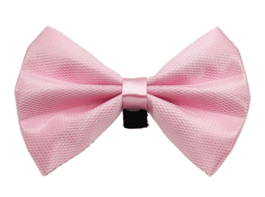 PR3004|Pets Ribbons (Color: 4, size: 2")
