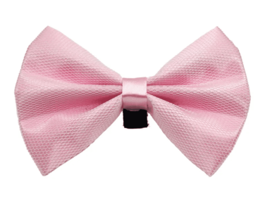 PR3004|Pets Ribbons (Color: 4, size: 5")