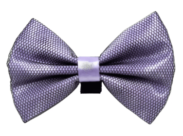 PR3005|Pets Ribbons (Color: 4, size: 2")