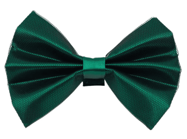 PR3005|Pets Ribbons (Color: 3, size: 6")