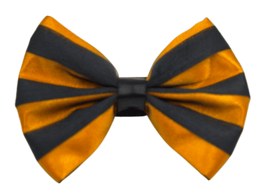 PR3006|Pets Ribbons (Color: 6, size: 3")