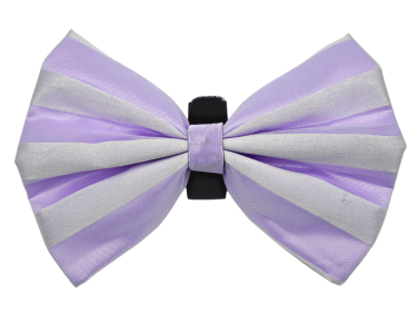 PR3006|Pets Ribbons (Color: 10, size: 3")