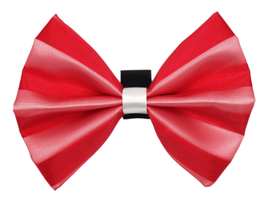 PR3006|Pets Ribbons (Color: 4, size: 4")