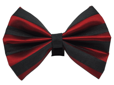 PR3006|Pets Ribbons (Color: 2, size: 5")
