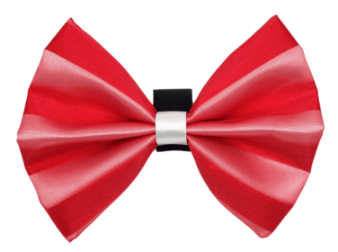 PR3006|Pets Ribbons (Color: 4, size: 6")
