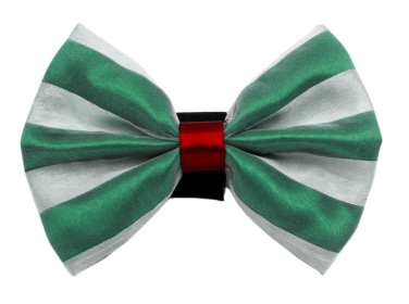PR3006|Pets Ribbons (Color: 7, size: 6")