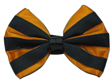 PR3006HS|Pets Ribbons (Color: Orange, size: 3")