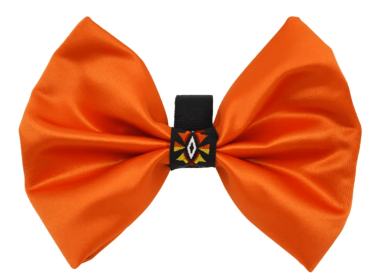 PR3007|Pets Ribbons (Color: Orange, size: 5")