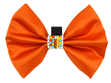 PR3008|Pets Ribbons (Color: Orange, size: 6")